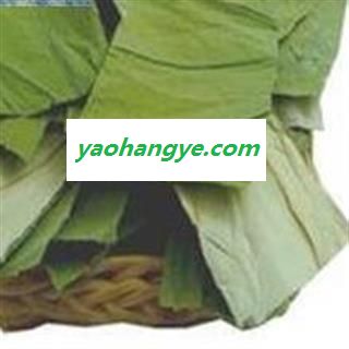 荷叶 四方块 荷叶茶 产地 山东省 国药堂 专注品质图1