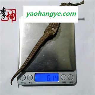 【包邮】海马6g 平马清水货（50g/1份）福建产 未加重 【良心经营 品种齐全】图1
