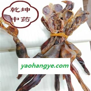 狗鞭 无硫统条 产地 四川省【诚信经营 品种齐全】图1