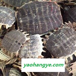 鳖甲     江西省图1