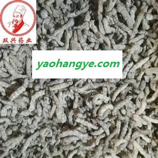 正品僵蚕精选货 包药检 断面玻璃碴 本店批发各种奇花异草以及各种名贵中药材，花茶，香料，根茎，果实种子类，全草类，花叶类，皮类，菌藻类，动物类，矿石类等 产地 四川省图1
