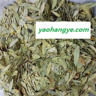 番泻叶 番泻叶统货 产地 广东省 国药堂 专注品质图1