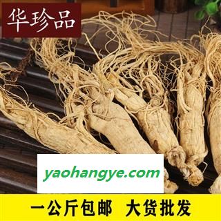 人参 13 人参精选40支装 500克/盒 产地 北京市图1