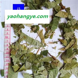 淫羊藿 生02 黑龙江图1