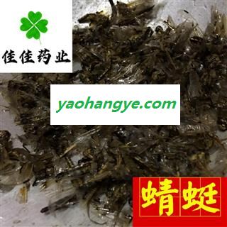 蜻蜓 统 供应各种中药材 冷背货 矿石 产地 湖北省图1