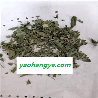 罗布麻叶 统图1