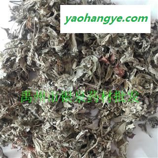 艾叶 艾叶，艾草，大叶统货， 产地 河南省图1