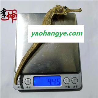 【包邮】海马4g 平马清水货（50g/1份）福建产 未加重 【良心经营 品种齐全】图1