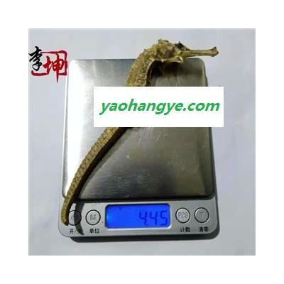 【包邮】海马4g 平马清水货（50g/1份）福建产 未加重 【良心经营 品种齐全】