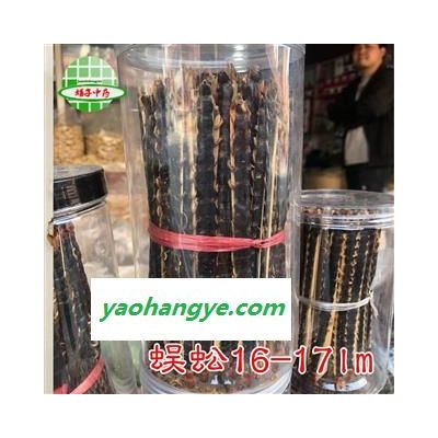 蜈蚣 蜈蚣大条精选货16-17cm 产地 湖北省 买好药找娟子