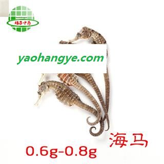 海马 海马 0.6-0.8g  产地 海外 买好药找娟子图1
