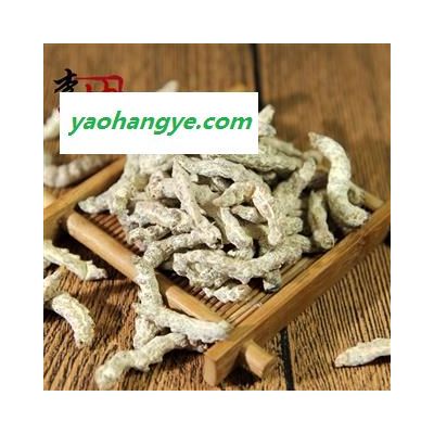 【99包邮】僵蚕 统货 四川产 未掺重 过药检【良心经营 绝不掺假】