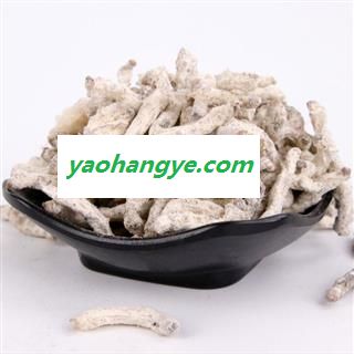 僵蚕 统  白僵蚕 产地 四川省图1