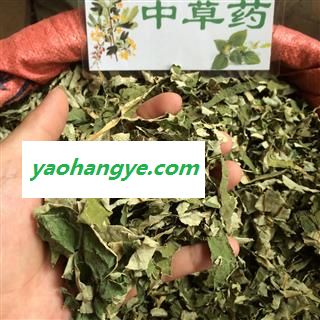 广西壮乡中草药 荷叶 荷叶统丝 新货 产地 广西柳州图1