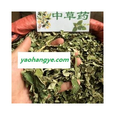 广西壮乡中草药 荷叶 荷叶统丝 新货 产地 广西柳州