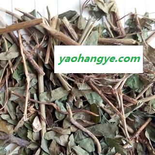 小丽百草行相思藤  土甘草 香仪 珠子草 假甘草图1