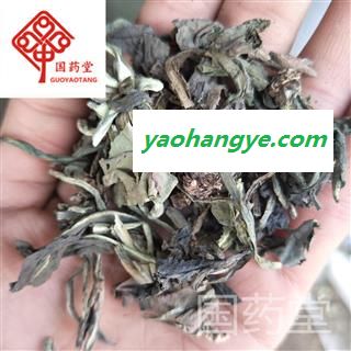 大青叶 新货 国药堂 专注品质 产地 山东省图1