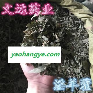 淫羊藿 淫羊藿 仙灵脾 羊合叶 产地 河南省濮阳市市辖区图1