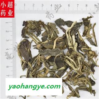 蓼大青叶 01 大青叶 统 产地 山东省图1