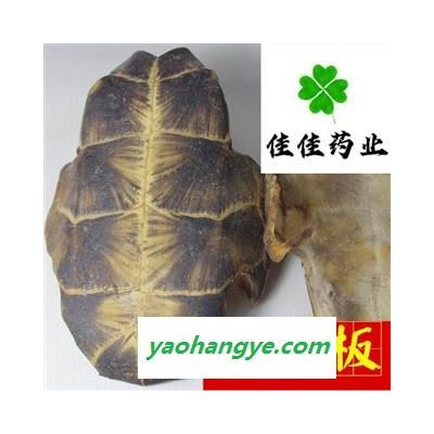 龟甲 龟板 汉龟板 旱龟板 正品 选 产地 湖北省