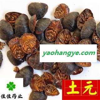 土元 选 大土元 土鳖虫 地鳖虫  供应各类中药材 冷背货 矿石等 产地 山东省图1