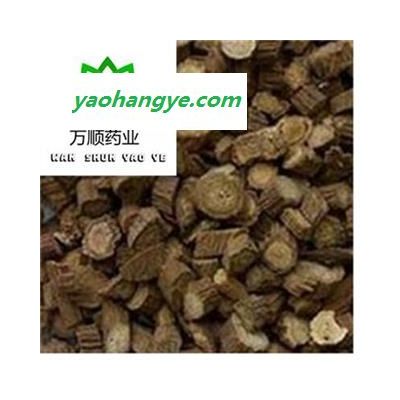 精品牛蒡根选货 牛蒡子根 黄金牛蒡根 质量好 价格低  产地 甘肃省