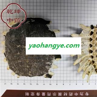 鳖甲 正品鳖甲   净选货   高品质 产地 四川省【诚信经营 品种齐全】图1