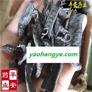 水蛭 柳叶水蛭清水统货 产地 江苏省图1