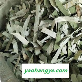 小丽百草行荷叶 荷叶丝 干净无杂 绿色 药用级别图1