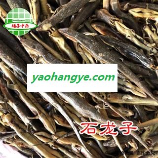石龙子 四脚蛇 产地 江西省鹰潭市 买好药找娟子图1