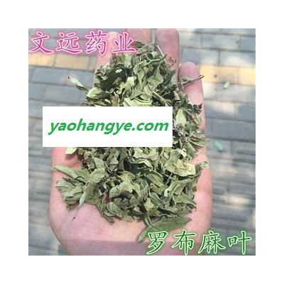 罗布麻叶 青色 统货 产地 新疆维吾尔自治区