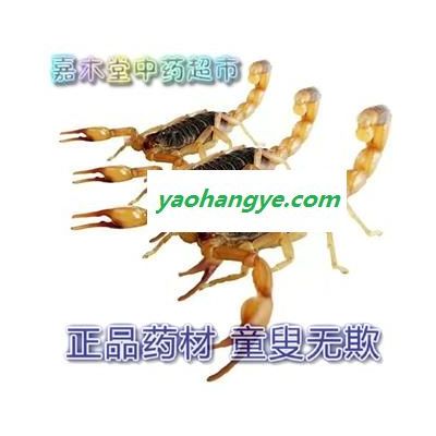 全虫 蝎子公蝎子没肚子干度好纯清水 符合药典标准 专注品质，诚信