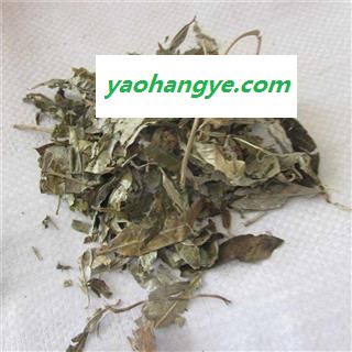【满包邮】胡颓子叶 统 1000g 产地 江苏省图1