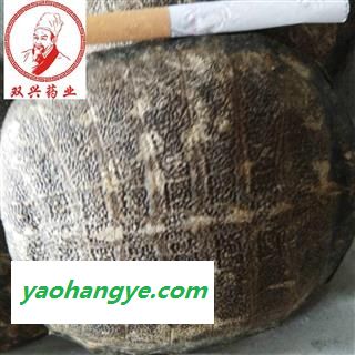 鳖甲 生血鳖甲 未被水煮过 药效好 本店批发各种奇花异草以及各种名贵中药材，花茶，香料，根茎，果实种子类，全草类，花叶类，皮类，菌藻类，动物类，矿石类等  产地 山东省图1