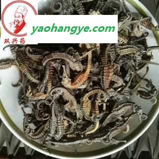 海马 海马小条 0.4克-0.8克 本店批发各种奇花异草以及各种名贵中药材，花茶，香料，根茎，果实种子类，全草类，花叶类，皮类，菌藻类，动物类，矿石类等  产地 福建省图1