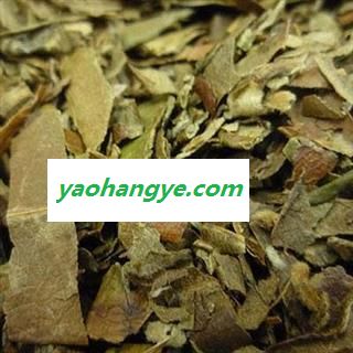 枇杷叶 巴叶 统货 国药堂 专注品质 产地 浙江省图1