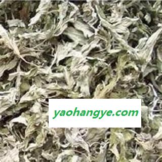 艾叶 统货 产地 安徽省图1