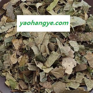 淫羊藿 巫山淫羊藿  洋火叶支持药检可供饮片厂药厂重在品质量大从优吉康药业图1