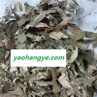 荷叶 荷叶丝，荷叶片，统片，绿色， 产地 河南省图1