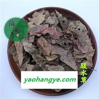 偏冷奇中药材 腹水草、两头爬、两头粘 、钓竿藤、爬岩红图1