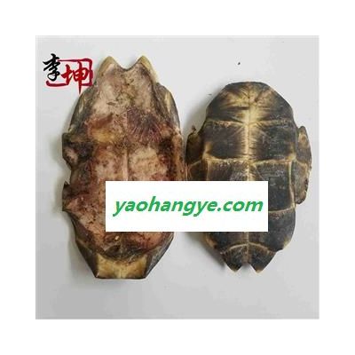 【99包邮】旱龟板 统个（500g） 浙江产  龟甲【良心经营 绝不掺假】