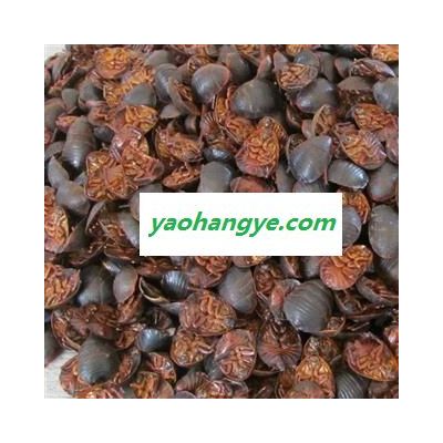 土鳖虫，土元， 统货， 产地 河南省禹州市药市