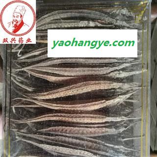 海龙 三角龙大条选货  本店批发各种奇花异草以及各种名贵中药材，花茶，香料，根茎，果实种子类，全草类，花叶类，皮类，菌藻类，动物类，矿石类等  产地 福建省图1