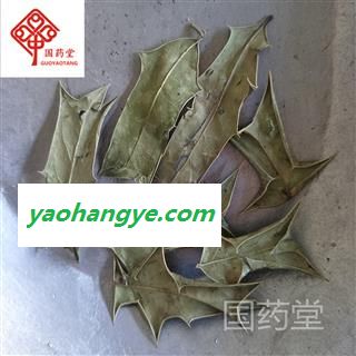 十大功劳叶 统 国药堂 专注品质 产地 广西壮族自治区图1