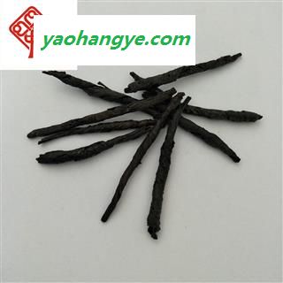 苦丁茶 统  产地 广西壮族自治区 国药堂 专注品质图1