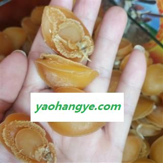 安祁名药纯野生鲍鱼壳图1
