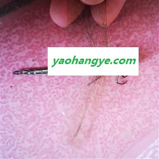 诺源药材行优质蜻蜓完整标本 8.5元一只图1