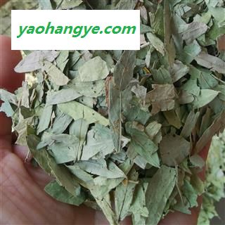 小丽百草行泻叶番泻叶符合药典可供饮片厂药厂量大从优图1