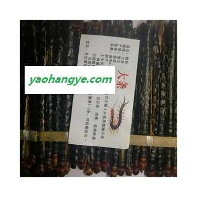 蜈蚣 蜈蚣大条精选货14-15cm 产地 湖北省