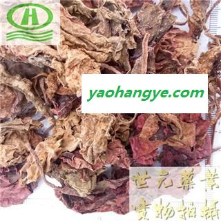 世元药业 紫背天葵 正品 别称 红天葵-雷丸草 夏无踪 小乌头 老鼠屎草 旱铜钱草图1